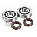 POLINI Crankshaft Bearing & Seal Kit (Piaggio, Gilera, Piaggio 2 Stroke 50cc)